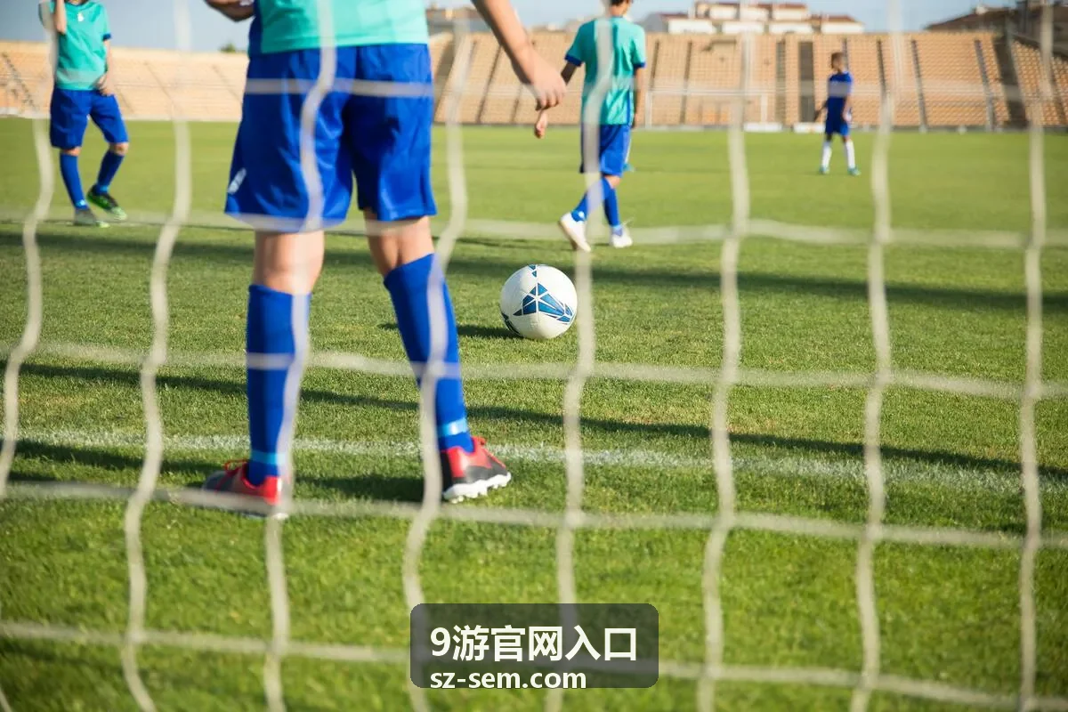 9游官网入口安全设置面板