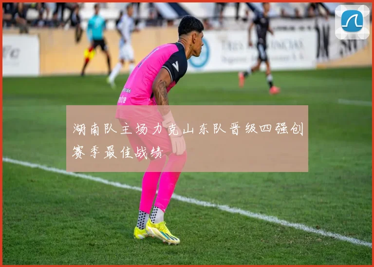 湖南队主场力克山东队晋级四强创赛季最佳战绩
