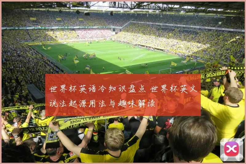 世界杯英语冷知识盘点 世界杯英文说法起源用法与趣味解读