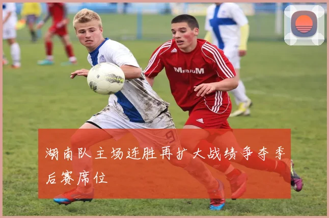 湖南队主场连胜再扩大战绩争夺季后赛席位