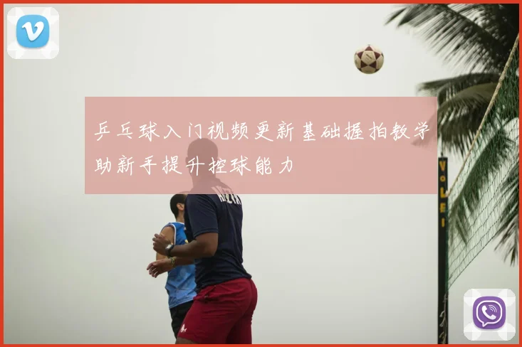 乒乓球入门视频更新基础握拍教学助新手提升控球能力